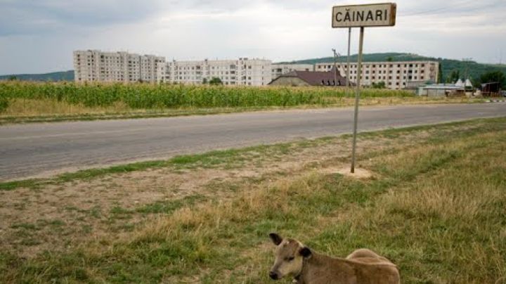 În acte sunt orăşeni, locuiesc la etaj, doar că o duc mai rău ca la sat.