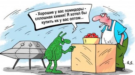 Количество несанкционированных торговых точек вдоль автомобильных трасс, возле остановок и у жилых массивов растет день ото дня.