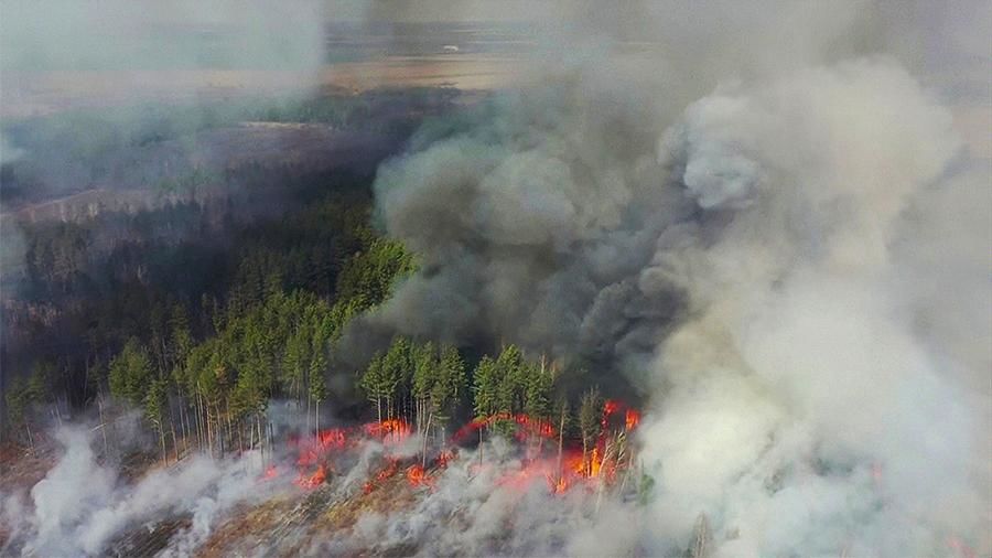 В Чернобыльской зоне возобновился пожар.
