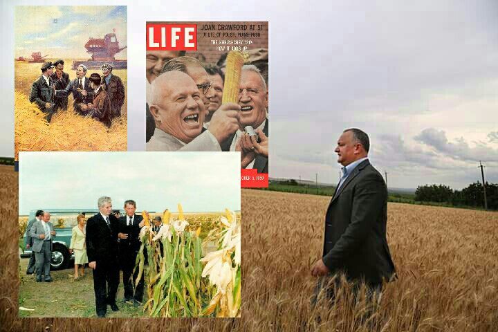 Ana Guțu, către Dodon: Nu copia .. nu poţi ascunde ca eşti prost. Foto: Facebook