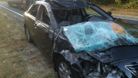 O mașină a primăriei capitalei a fost implicată într-un accident rutier.