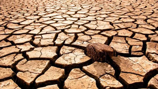 Anul 2013 ar putea fi cel mai cald din istoria măsurătorilor meteo
