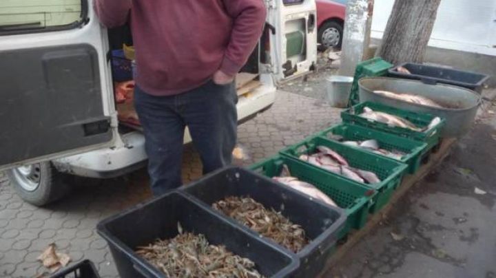 За незаконную реализацию продукции, продавцу грозит штраф в размере 3 тысяч леев.