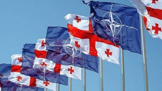 НАТО поможет Грузии в развитии береговой охраны и ВМС на Черном море.