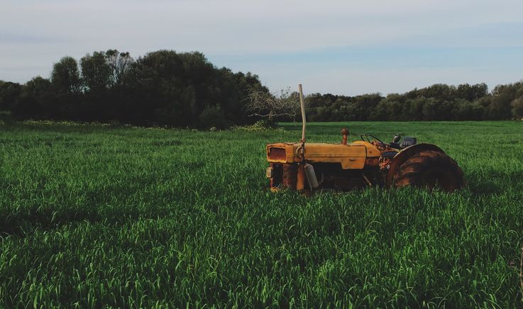 Din Fondul de dezvoltare agricolă vor fi finanțate 21 de proiecte