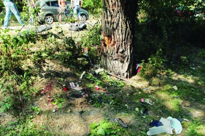 Экс-глава Дорожной полиции Молдовы: В этой страшной трагедии виноваты мы все и ...деревья.