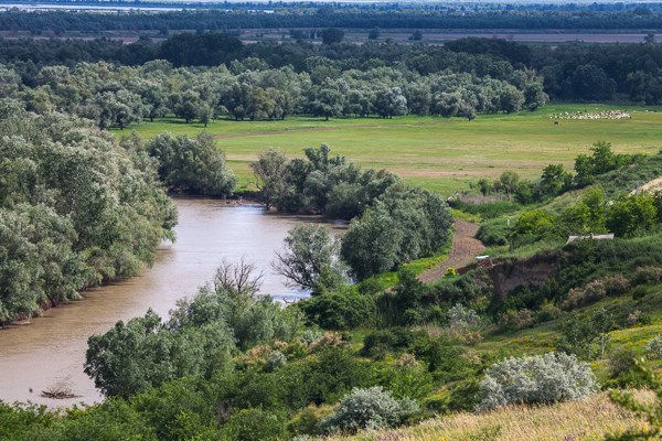 Гидрологи предупредили о повышении уровня воды в Пруте.