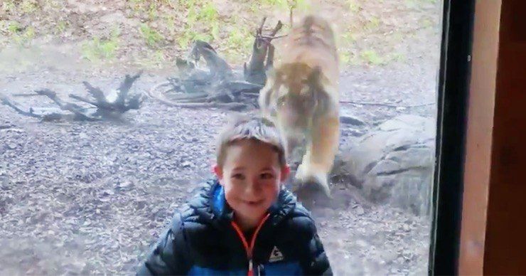Видео инцидента опубликовал в своем Twitter-аккаунте отец ребенка.