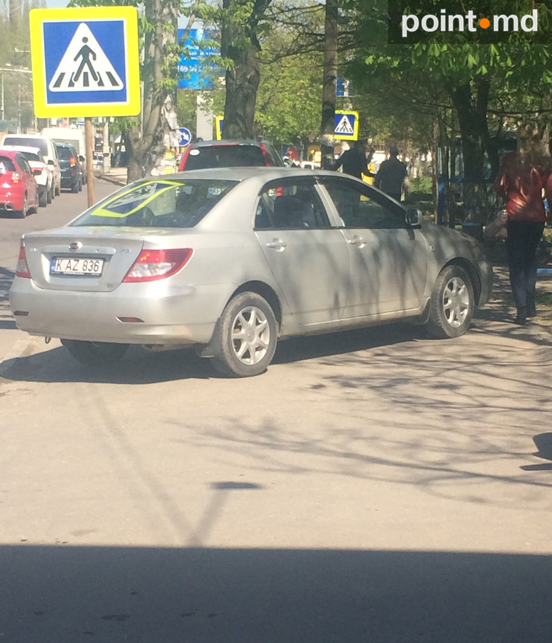 Припаркованный автомобиль можно было обойти только через кустарники