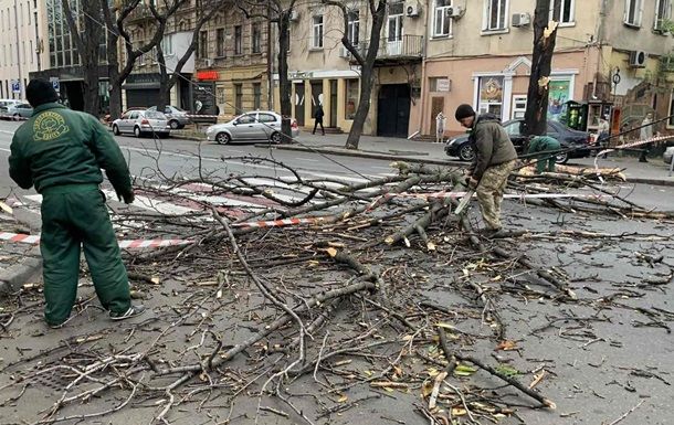 Ураган в Одессе повалил десятки деревьев.
