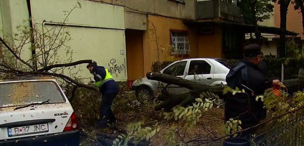 Vijelia a făcut prăpăd în București. 