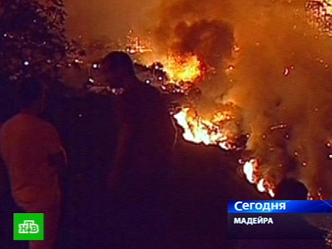 Около 130 пожарных были мобилизованы в регионе Монте. В окрестностях Фуншала выгорело более 50 га леса. Фото: ntv.ru