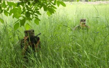 Tinerii au fost deferiţi Comisariatului de Poliţie din oraşul Ştefan-Vodă care urmează să i-a măsurile legale ce se impun.