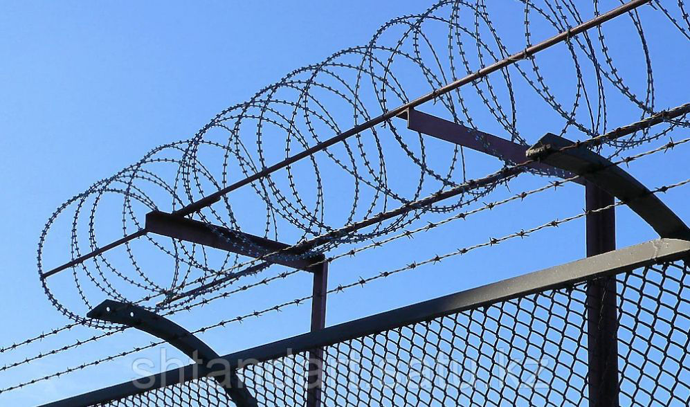 Объявленная в розыск девушка поймана в момент передачи посылки в тюрьму.