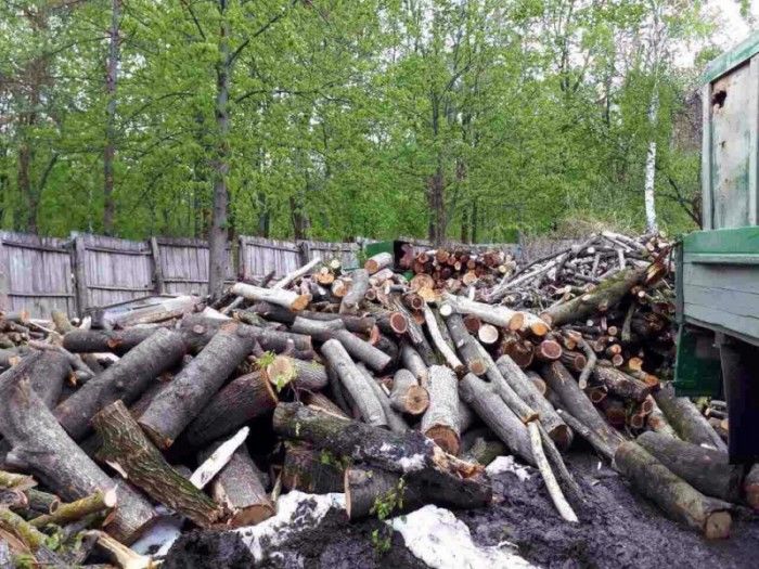 Termen limită de evacuare a crengilor căzute în aprilie