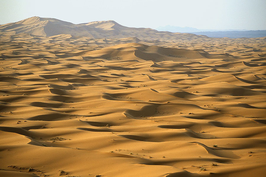 Решена загадка африканской пустыни.