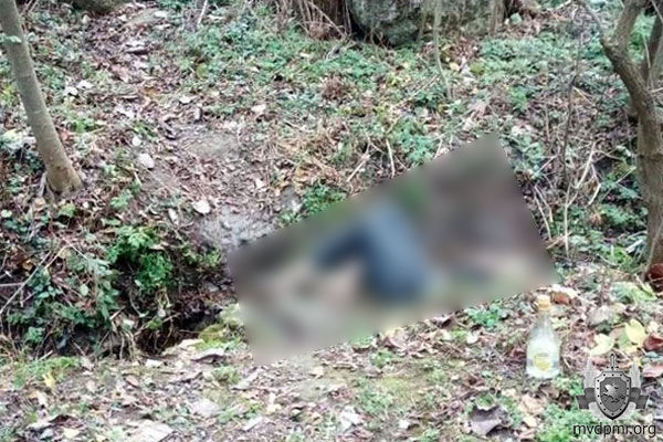 В Каменке мужчина умер от переохлаждения, уснув пьяным у ручья.