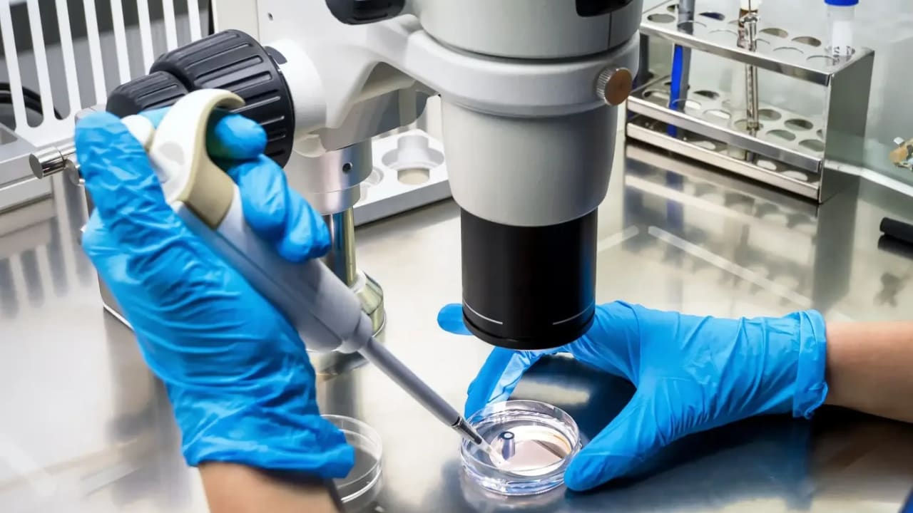 Primul caz de infectare cu hantavirus, înregistrat în Israel.