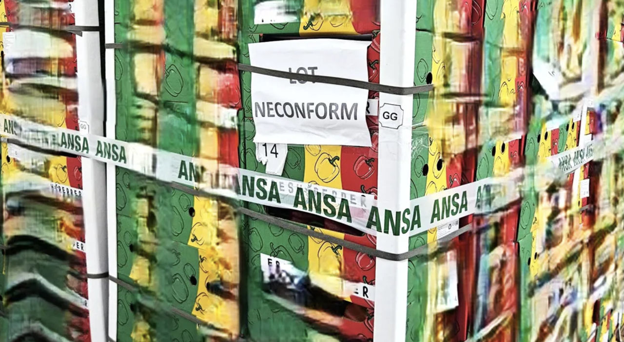 ANSA a împiedicat intrarea pe piața moldovenească a nouă tone de condimente.