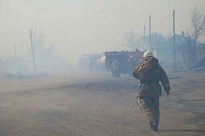 В тушении пожаров, по последним данным, принимают несколько тысяч спасателей, а также восемь самолетов и вертолетов.