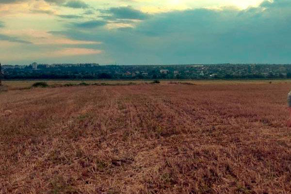 В Парканах третьеклассника, ушедшего из дома искать работу, нашли в поле.