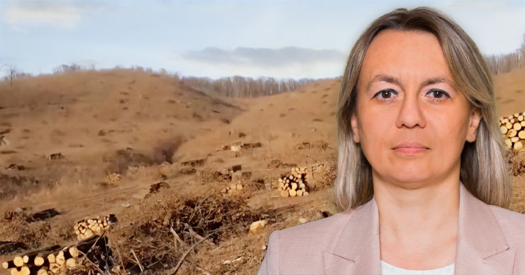 Юлиана Кантараджиу: Самая коррумпированная отрасль - лесное хозяйство. Коллаж Point.md.