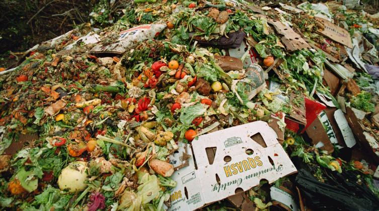 Молдова ежегодно выбрасывает около 180 тысяч тонн продуктов.