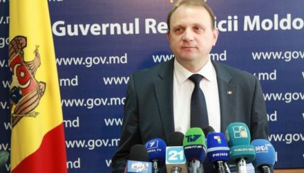 Rari ani când avem astfel de semănături de grâu, datorită condițiilor climaterice foarte bune
