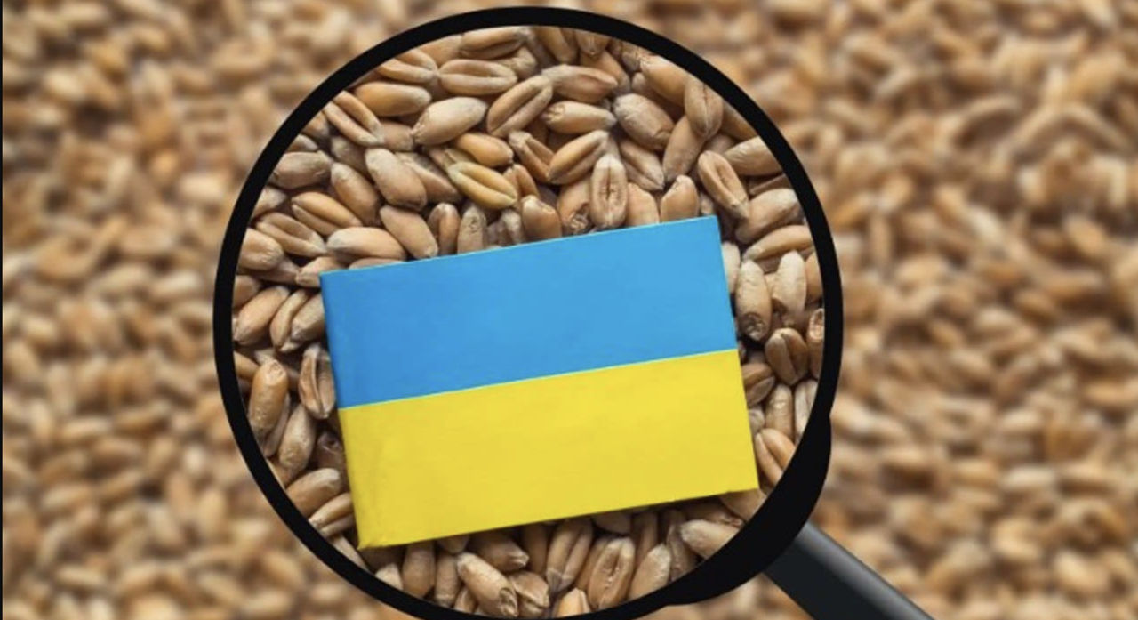 Транзит украинского зерна через Молдову обеспокоил румынских фермеров.