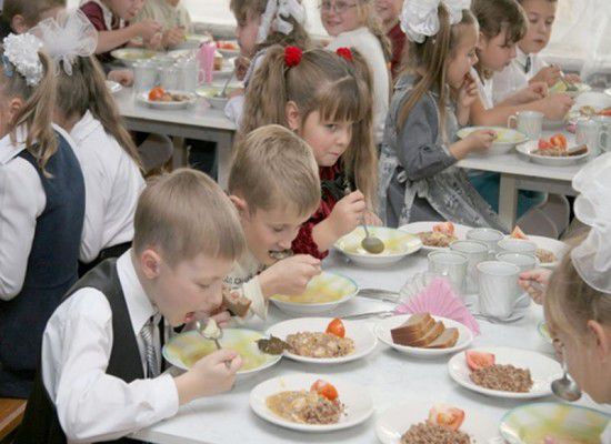 Отсутствие меню, богатого фруктами, овощами, мясной и молочной продукцией, вызывает ожирение у детей.  Фото: ru.moldova24.net