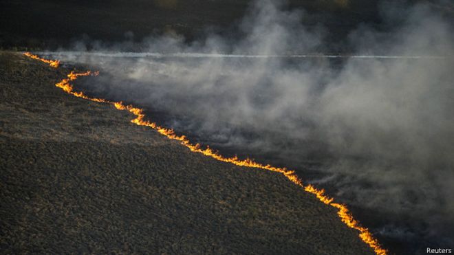 К счастью, пока пожар не достиг зоны реактора.