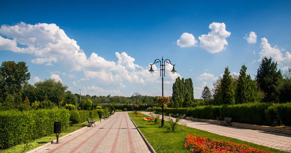 В Дендрарии создана современная зона отдыха.