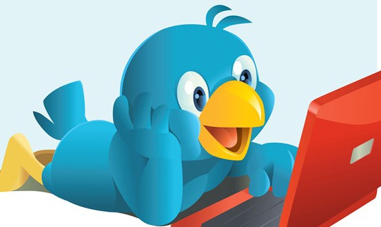 DNT sau Do Not Track este cea mai buna extensie pentru a preveni instalarea de cookie-uri pe un computer 