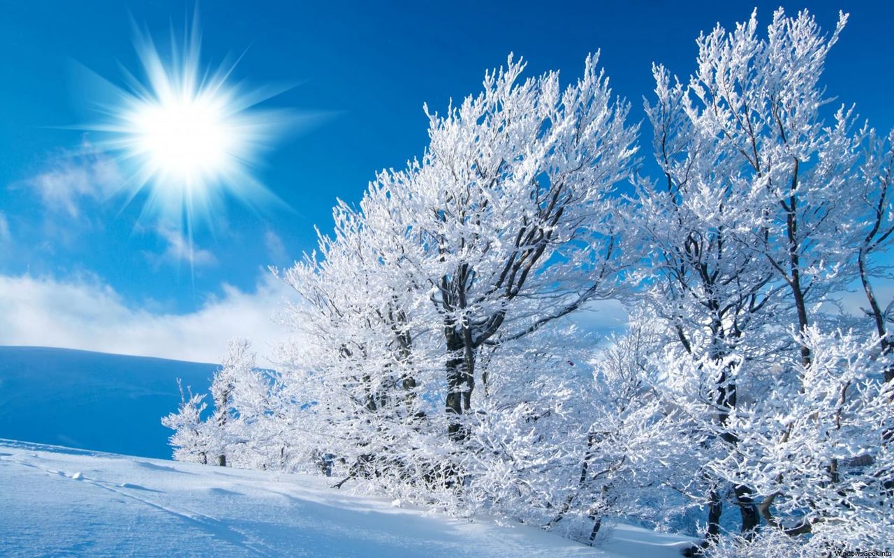 Avertisment: Vine o iarnă geroasă. Precizarea meteorologilor