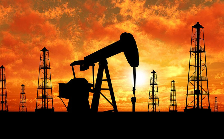 ОПЕК прогнозирует рост спроса на нефть в 2024 году.