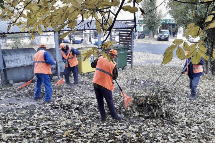 На прошлой неделе в Кишиневе было вывезено более 200 грузовиков с листьями.