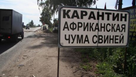 Первый случай заражения был обнаружен на ферме в Дондушень.