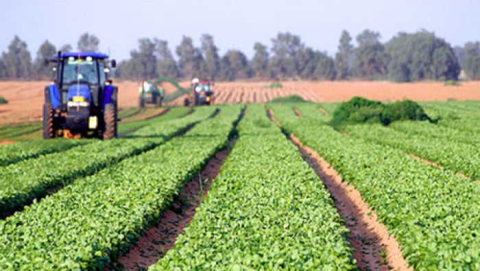 Credit de 12 mln de dolari pentru agricultorii moldoveni. Foto: provincial.md