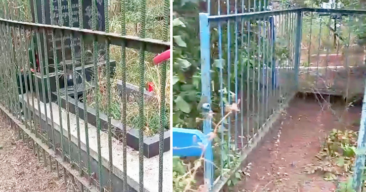 На одном из кладбищ Комрата пропадают ограждения с могил. Коллаж: Point.md