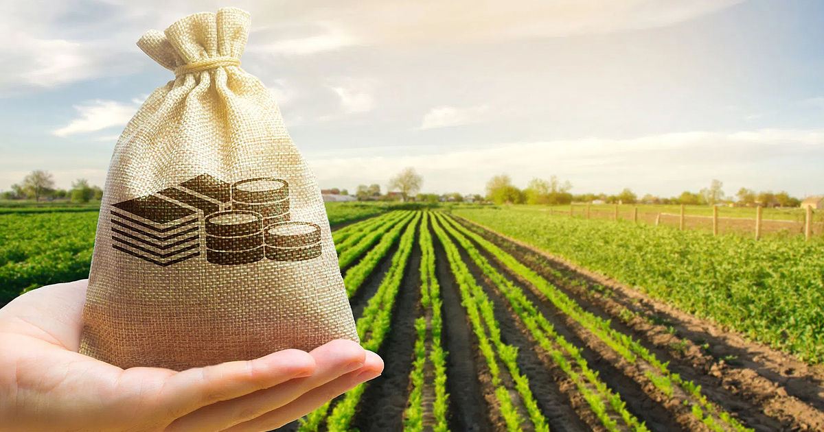 Agricultorii pot accesa noi forme de sprijin financiar: Subvenții pe etape și în avans.