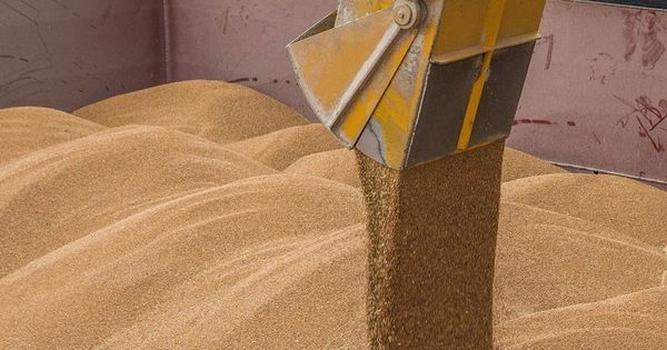 Судно в порту Джурджулешть готово к погрузке пшеницы на экспорт.