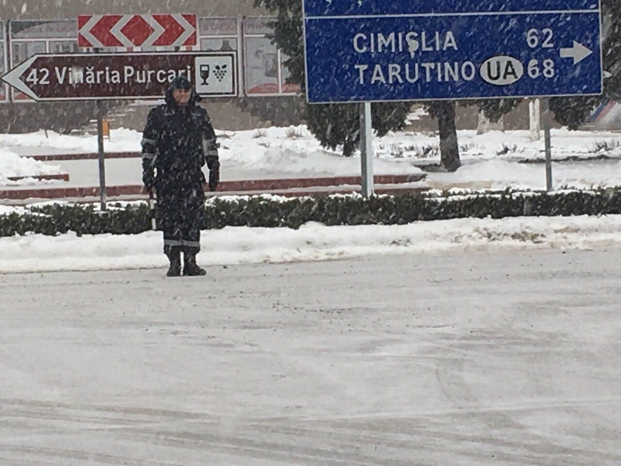 Ninge abundent în sudul țării.