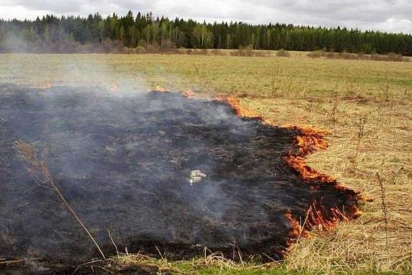 Поле в 12 гектар ячменя сгорело в Вулканештском районе.