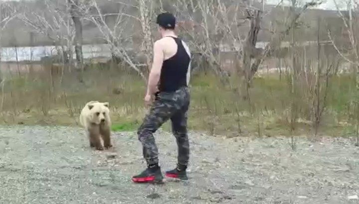 На Камчатке медведь прогнал надоедливого туриста.