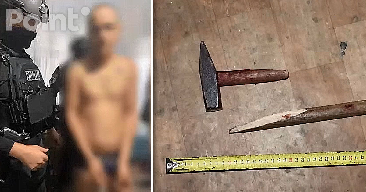 Un bărbat care și-a lovit victima cu ciocanul de 42 de ori, condamnat la 18 ani de închisoare.