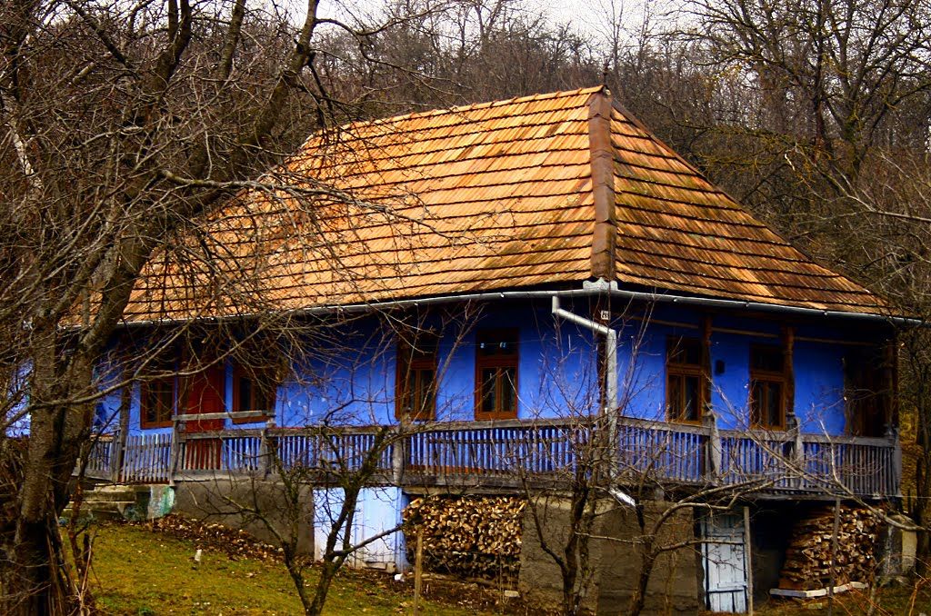 Vizitat de rude a gost găsit fără suflare. Foto simbol:panoramio.com