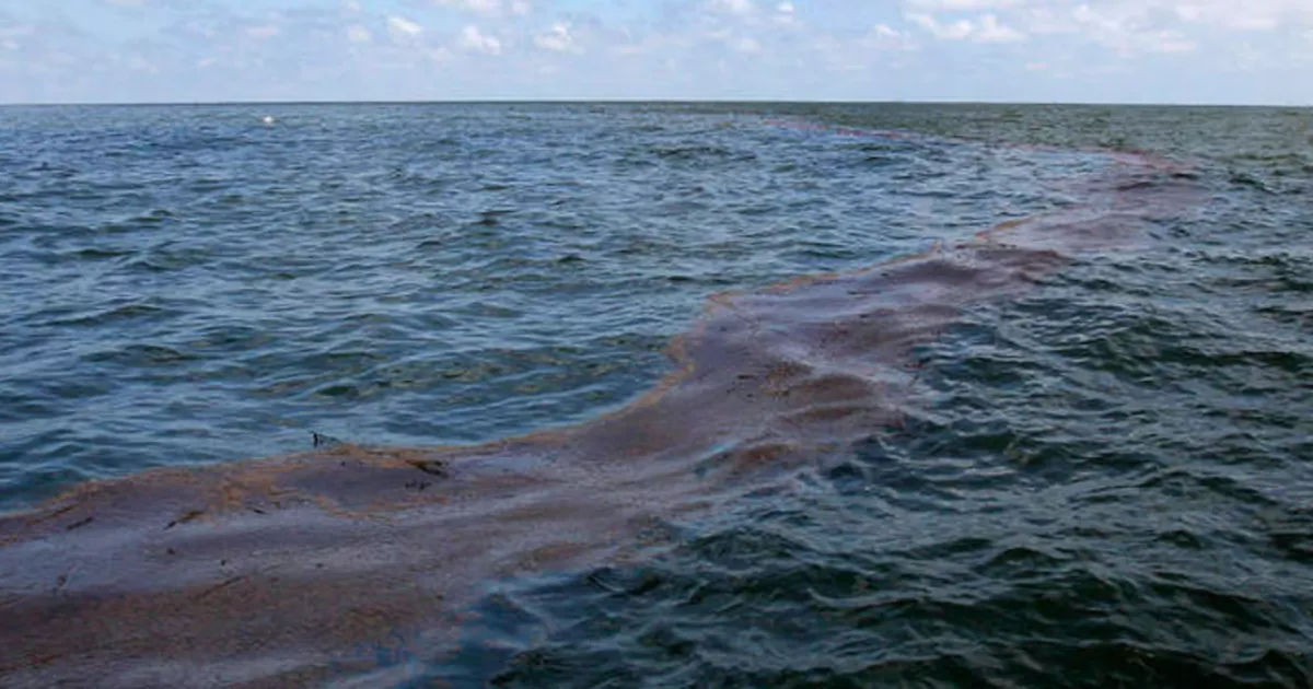 Greenpeace: Площадь нового загрязнения Черного моря за неделю достигла 1000 кв. км