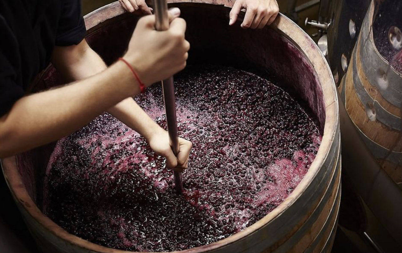 În perioada de fermentare a vinului salvatorii au verificat peste 3.000 de gospodării din Moldova.