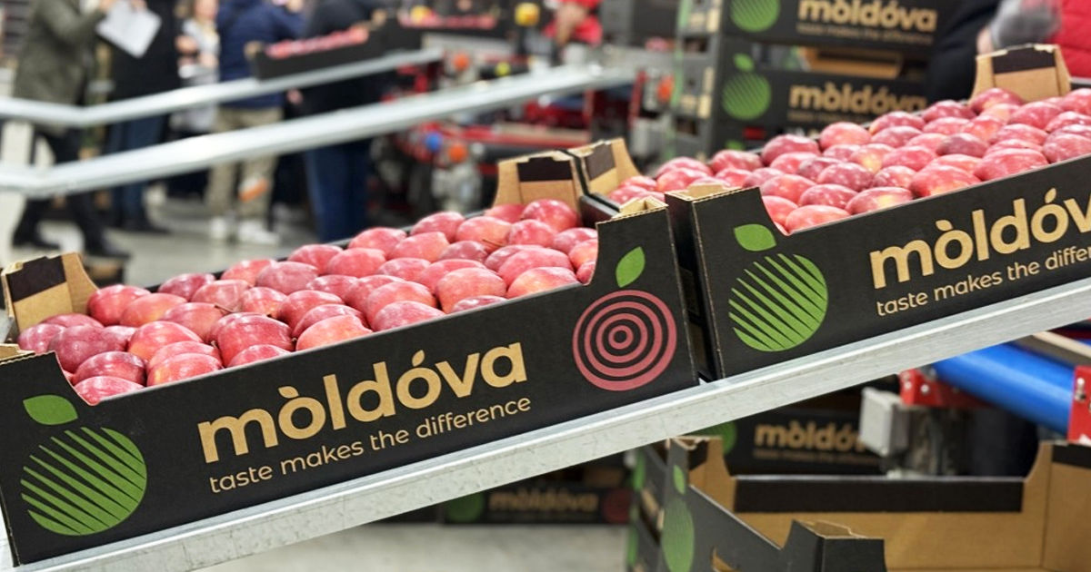 Moldova a devenit principalul furnizor de concentrat de mere pentru Polonia, depășind Ucraina.