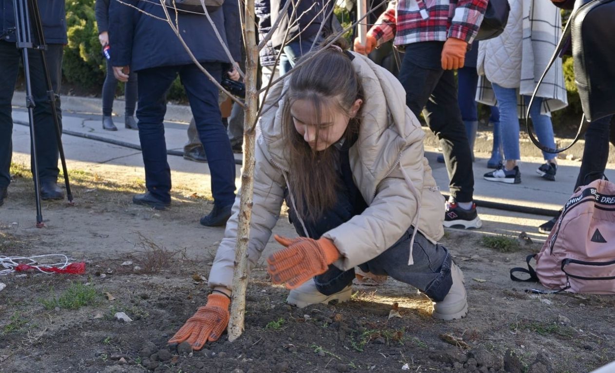 В столице продолжается кампания по посадке деревьев.